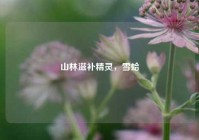 山林滋补精灵，雪蛤