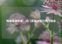 探秘英雄联盟，冷门英雄成因与热门缘由