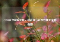 CSGO内存读取优化，显著提升游戏性能的实用指南