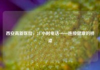 西安高新医院，24 小时     ——连接健康的桥梁
