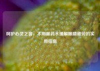 呵护心灵之窗，不用眼药水缓解眼睛疲劳的实用指南