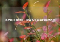 揭秘PUBG菠萝号，游戏账号背后的隐秘故事