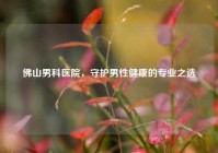 佛山男科医院，守护男性健康的专业之选