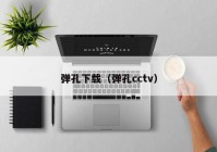 弹孔下载（弹孔cctv）