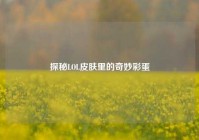 探秘LOL皮肤里的奇妙彩蛋