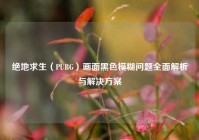 绝地求生（PUBG）画面黑色模糊问题全面解析与解决方案