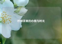 柠檬茶里的心情与时光