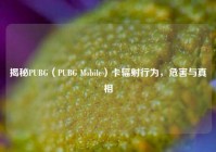 揭秘PUBG（PUBG Mobile）卡辐射行为，危害与真相
