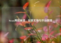 Steam再陷崩溃，玩家无奈与平台困境