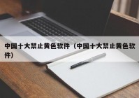 中国十大禁止黄色软件（中国十大禁止黄色软件）