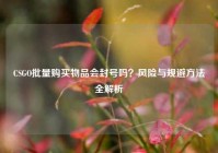 CSGO批量购买物品会封号吗？风险与规避     全解析