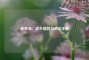 春笋汤，故乡情韵与做法全解