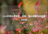 CSGO手臂长度参数，关闭、默认调整与游戏体验优化