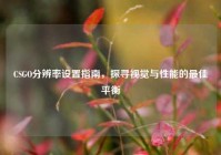 CSGO分辨率设置指南，探寻视觉与性能的更佳平衡