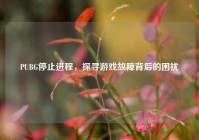 PUBG停止进程，探寻游戏故障背后的困扰