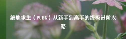 绝地求生（PUBG）从新手到高手的终极进阶攻略