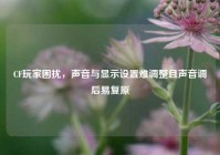 CF玩家困扰，声音与显示设置难调整且声音调后易复原