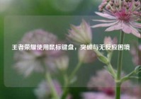 王者荣耀使用鼠标键盘，突破与无反应困境