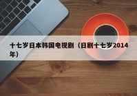 十七岁日本韩国电视剧（日剧十七岁2014年）
