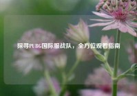 探寻PUBG国际服战队，全方位观看指南