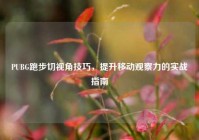 PUBG跑步切视角技巧，提升移动观察力的实战指南