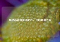 揭秘高效瘦身汤配方，开启轻盈之旅