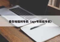 爱你啪福利导航（agv导航磁导航）