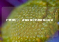 叶赫那拉氏，满清荣耀背后的意味与宿命