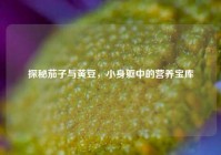 探秘茄子与黄豆，小身躯中的营养宝库