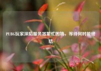 PUBG玩家深陷服务器繁忙困境，等待何时能终结
