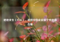 绝地求生（PUBG），游戏中的全皮肤个性风尚合集
