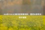2020年PUBG2公测闪退现象剖析，困扰玩家的无提示难题