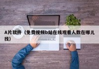 A片软件（免费视频b站在线观看人数在哪儿找）