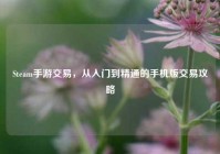 Steam手游交易，从入门到精通的手机版交易攻略