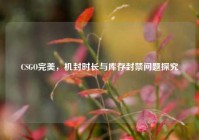CSGO完美，机封时长与库存封禁问题探究