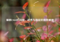 解析CSGO打闪图，战术与视觉的独特展现