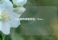 CSGO里的神秘存在，Picker