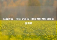 畅享极致，PUBG 8P画质下的吃鸡魅力与更佳画面设置