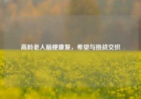 高龄老人脑梗康复，希望与挑战交织