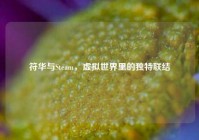 符华与Steam，虚拟世界里的独特联结