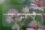 Steam 突然断开，游戏世界中的连接难题与解决探寻