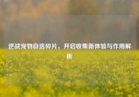 逆战宠物自选碎片，开启收集新体验与作用解析