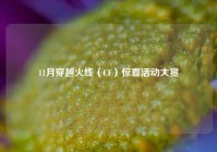 11月穿越火线（CF）惊喜活动大赏