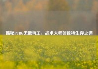 揭秘PUBG无敌狗王，战术大师的独特生存之道