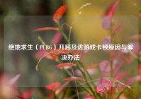 绝地求生（PUBG）开局及进游戏卡顿原因与解决办法