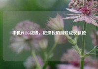 手机PUBG战绩，记录我的游戏成长轨迹