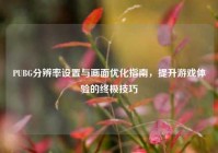 PUBG分辨率设置与画面优化指南，提升游戏体验的终极技巧