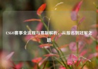 CSGO赛事全流程与赛制解析，从报名到冠军之路
