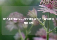 橙子平台绑定Steam及登录账号     ，解锁便捷游戏体验