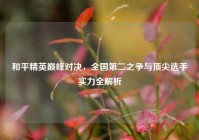 和平精英巅峰对决，全国第二之争与顶尖选手实力全解析